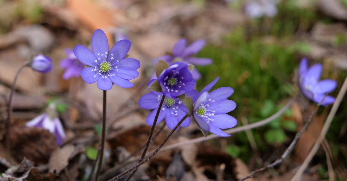 découvrez la région de pirkanmaa, un paradis naturel en finlande, riche en paysages à couper le souffle, en lacs scintillants et en charmantes villes. explorez ses activités en plein air, sa culture vibrante et son hospitalité chaleureuse.