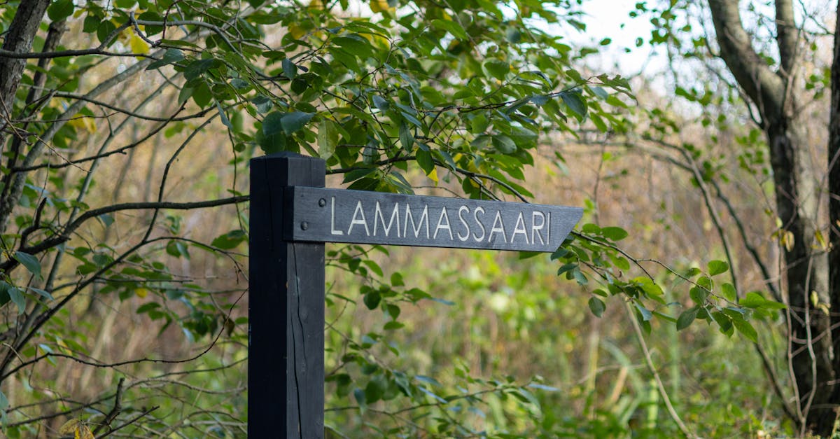 découvrez pohjanmaa, une région fascinante de finlande, riche en culture, paysages naturels époustouflants et histoire. explorez ses villes charmantes, ses traditions authentiques et laissez-vous séduire par la beauté nordique de cette destination unique.