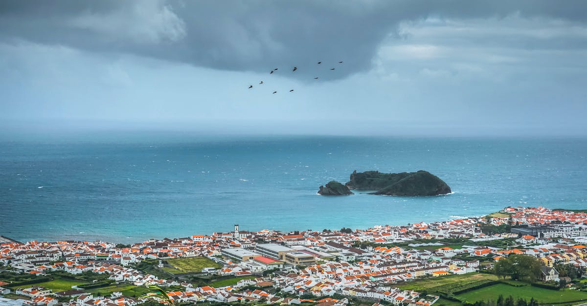 découvrez le portugal, une destination d'exception alliant culture riche, paysages à couper le souffle et délicieuses spécialités culinaires. explorez ses villes historiques, profitez de ses plages ensoleillées et laissez-vous séduire par l'hospitalité portugaise.