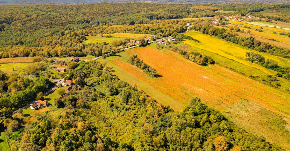 découvrez požega-slavonie, une région envoûtante de croatie, riche en histoire, culture et paysages pittoresques. explorez ses charmantes villes, ses traditions culinaires et ses superbes panoramas qui font de cette destination un véritable trésor à ne pas manquer.