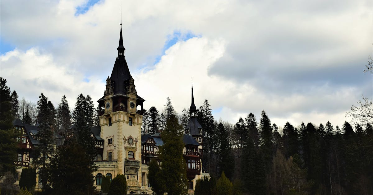 découvrez la région de prahova, une destination fascinante en roumanie, célèbre pour ses paysages pittoresques, ses stations de ski animées et son riche patrimoine culturel. explorez ses attractions touristiques, ses activités en plein air et la beauté naturelle qui en fait un lieu idéal pour les amateurs de nature et d'aventure.