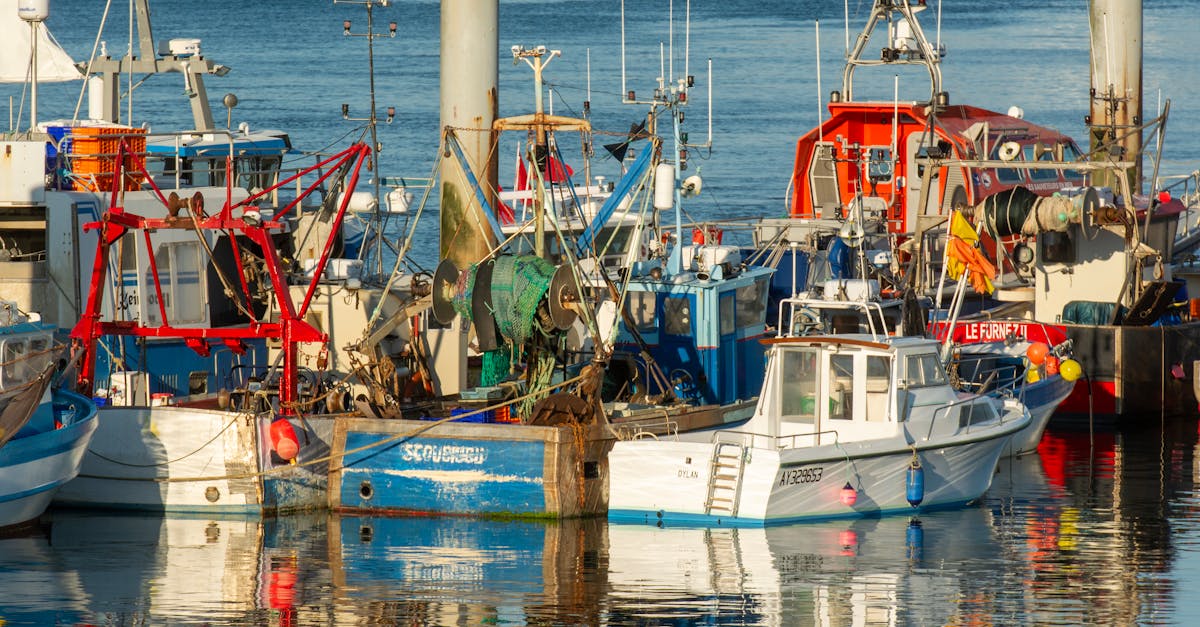 découvrez quiberon, une charmante commune bretonne connue pour ses magnifiques paysages côtiers, ses plages de sable fin et ses activités nautiques. explorez la richesse de son patrimoine et profitez d'une escapade inoubliable au cœur de la nature.