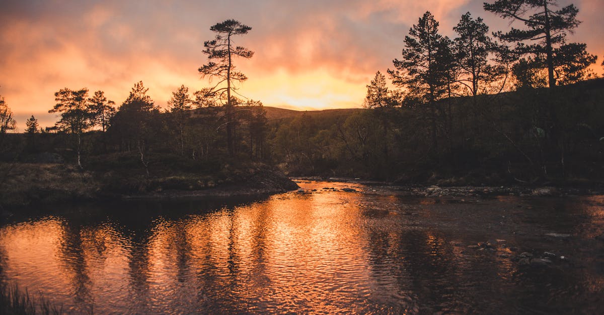 découvrez rogaland, une région fascinante de la norvège, réputée pour ses paysages époustouflants, ses fjords majestueux, et ses charmants villages. partez à l'aventure dans cette destination naturelle où la culture scandinave s'épanouit au cœur de la nature.