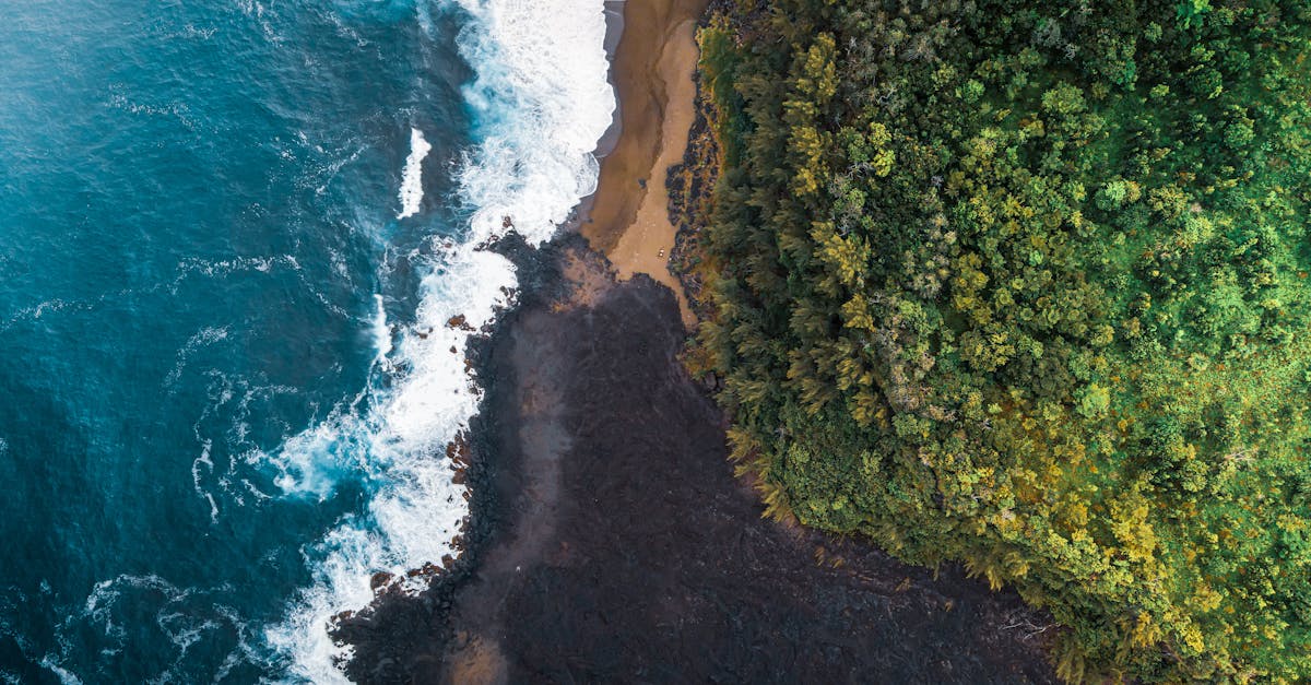 découvrez saint-pierre, une destination captivante où la nature luxuriante rencontre l'histoire riche. profitez de plages paradisiaques, d'une culture vibrante et d'activités variées pour tous les goûts. faites de votre séjour un moment inoubliable au cœur de ce joyau des antilles.