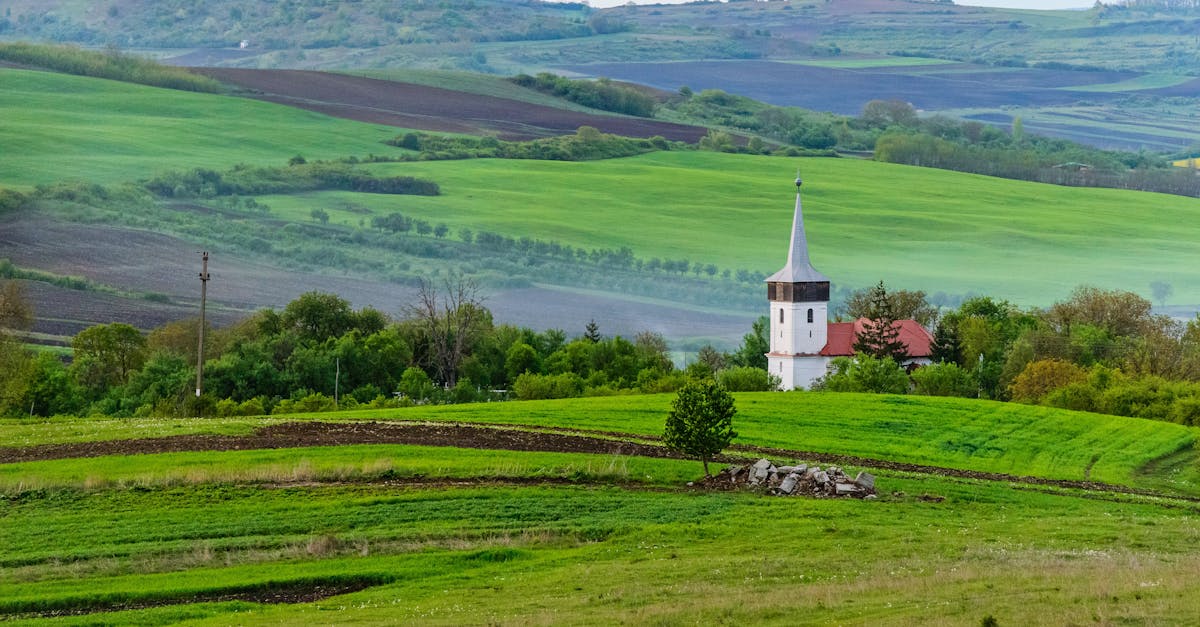 explorez sălaj, une destination pittoresque en roumanie, connue pour ses paysages magnifiques, son riche patrimoine culturel et ses sites historiques. partez à la découverte des charmants villages et détendez-vous dans la nature préservée de cette région unique.