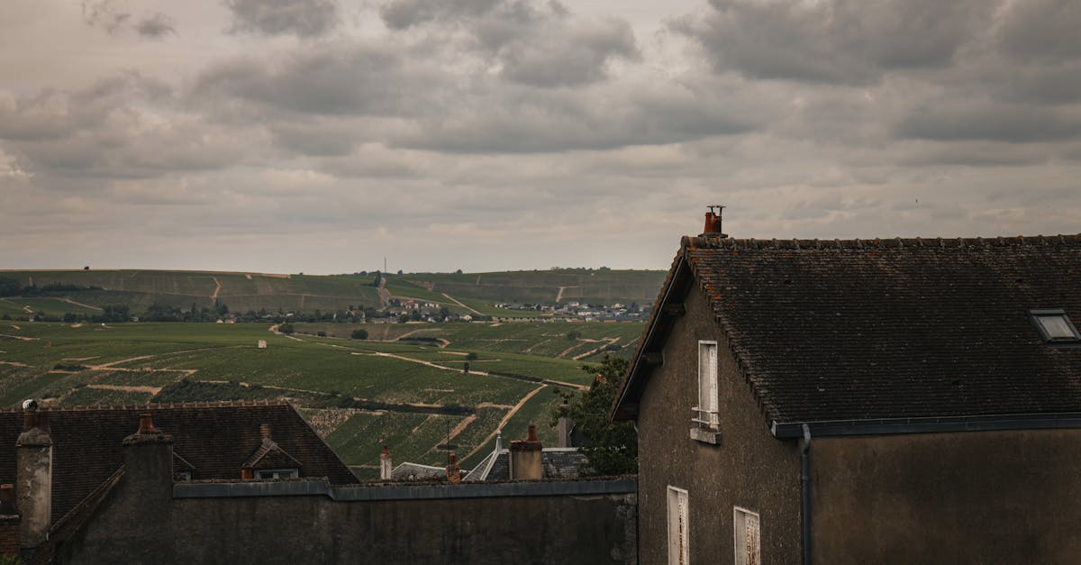 découvrez sancerre, une charmante commune viticole du val de loire, célèbre pour ses vins blancs aromatiques à base de sauvignon blanc et son patrimoine riche. plongez dans l'histoire, les paysages pittoresques et les traditions gastronomiques de cette région emblématique.