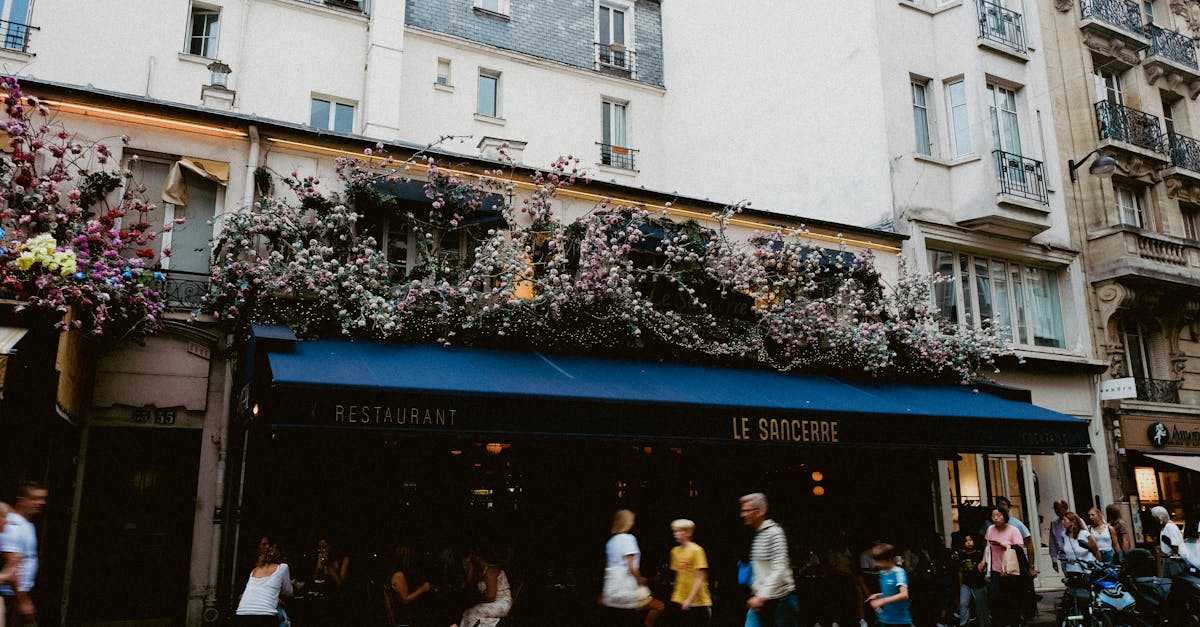 découvrez sancerre, une appellation viticole renommée de la loire, célèbre pour son vin blanc rafraîchissant à base de sauvignon blanc. explorez les vignobles pittoresques, savourez des dégustations de vin et plongez dans l'histoire et la culture de cette région enchanteresse.