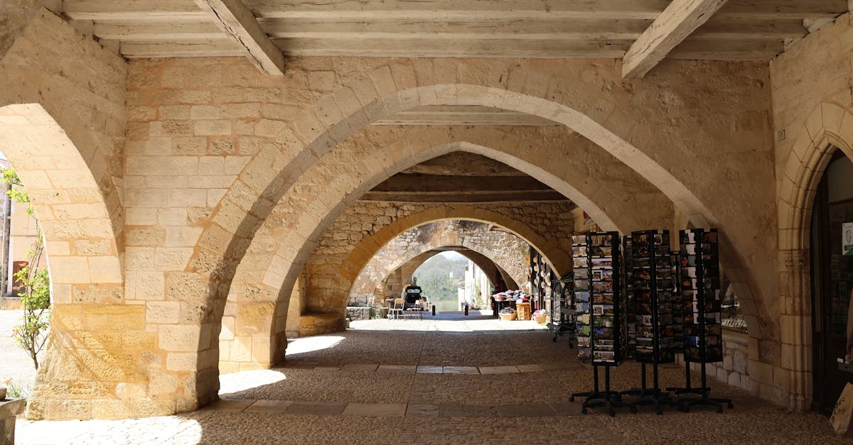 découvrez sarlat, une charmante ville médiévale du périgord, célèbre pour son patrimoine historique exceptionnel, ses ruelles pavées animées et sa gastronomie riche. explorez ses marchés typiques, ses monuments remarquables et laissez-vous séduire par l'authenticité de cette destination incontournable.