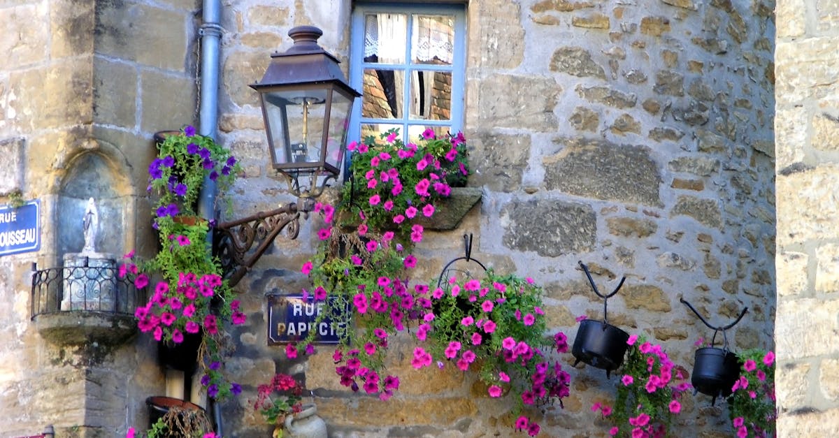 découvrez sarlat, charmante ville du périgord noir, réputée pour son architecture médiévale, ses ruelles pavées et sa délicieuse gastronomie. explorez ses marchés animés et laissez-vous séduire par son riche patrimoine culturel.