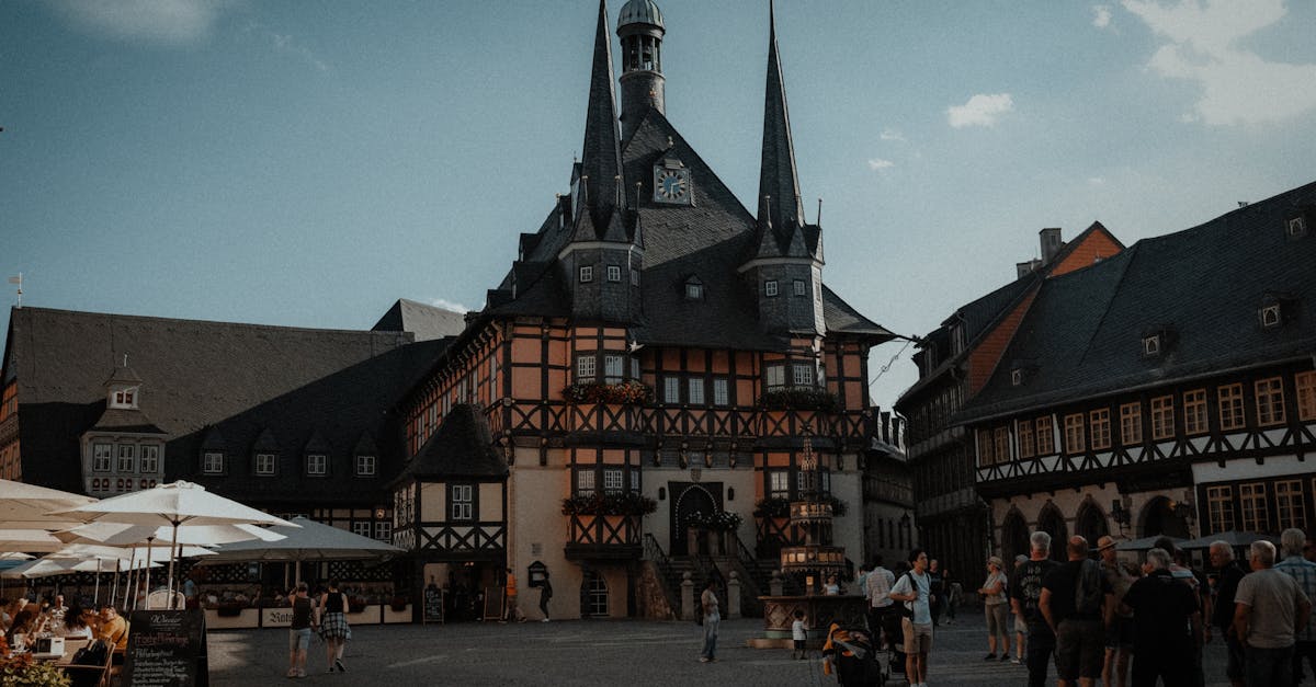 découvrez saxony-anhalt, une région allemande riche en histoire, culture et paysages diversifiés. explorez ses châteaux médiévaux, ses villes pittoresques et ses magnifiques parcs naturels. plongez dans l'héritage musical et artistique de cette terre fascinante.