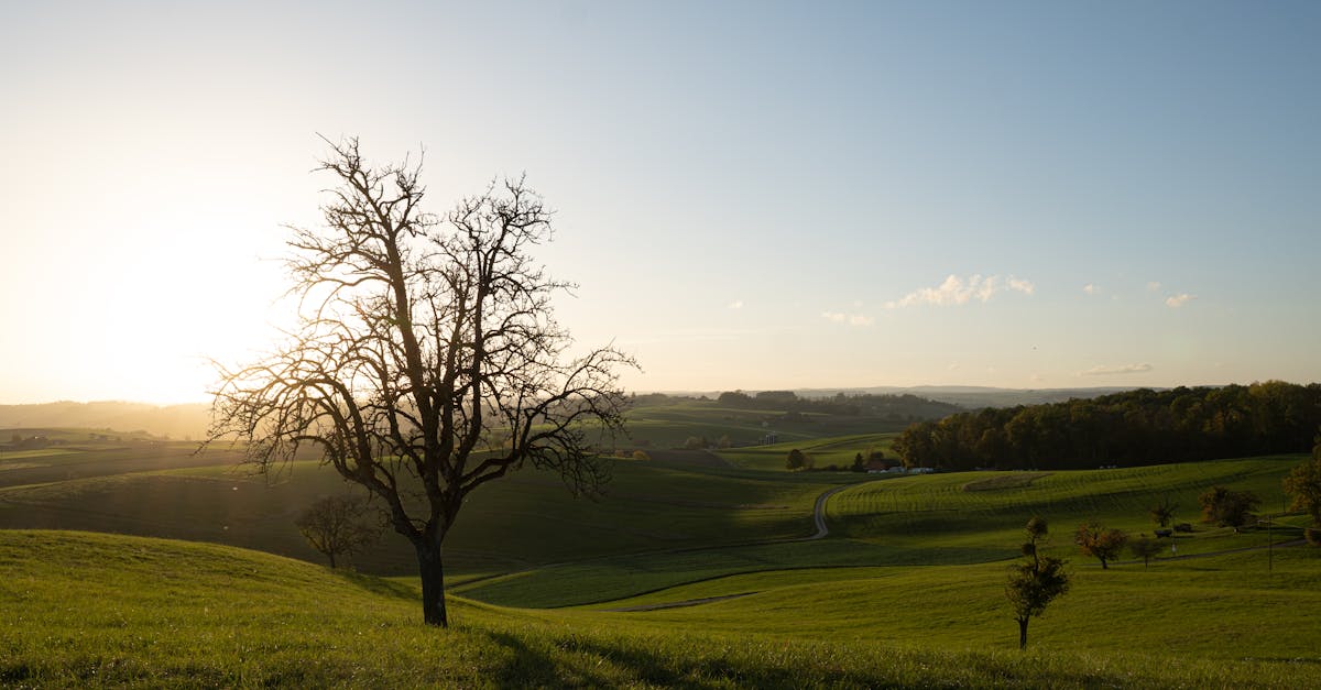 découvrez schaffhausen, une charmante ville suisse connue pour son patrimoine historique, ses superbes paysages et les impressionnantes chutes du rhin. idéale pour une escapade culturelle et naturelle, explorez ses ruelles médiévales, ses musées fascinants et savourez la gastronomie locale.