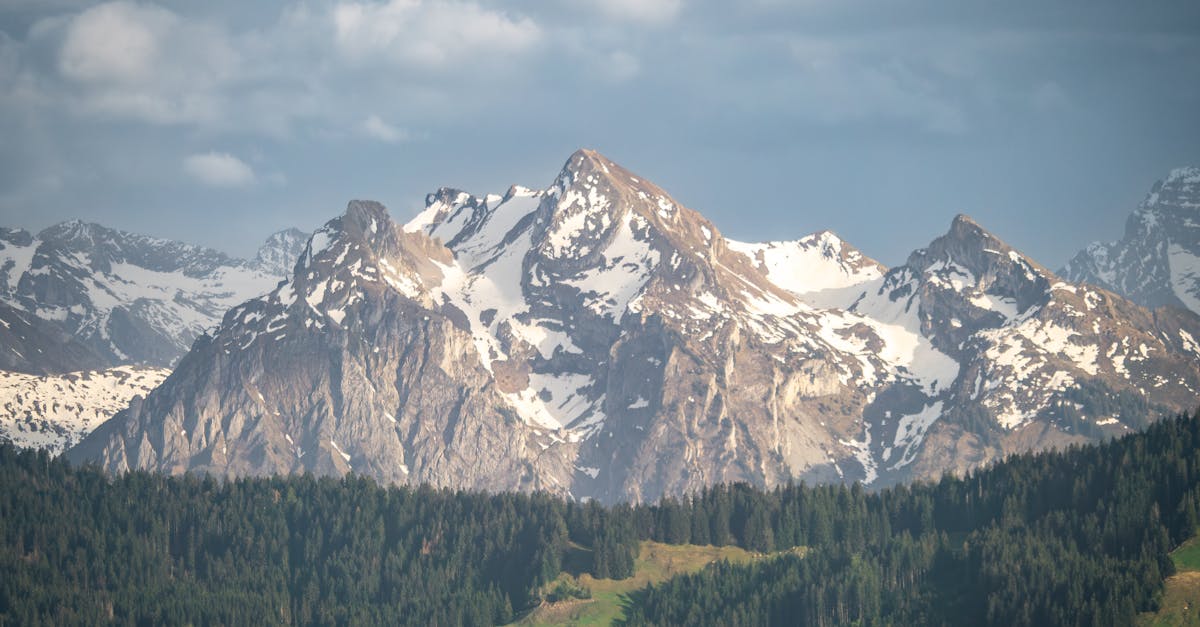 découvrez schwyz, une ville pittoresque de suisse riche en histoire et en culture, nichée au cœur des alpes suisses. explorez ses paysages époustouflants, ses sites historiques et son atmosphère chaleureuse qui en font une destination idéale pour les amateurs de nature et de patrimoine.