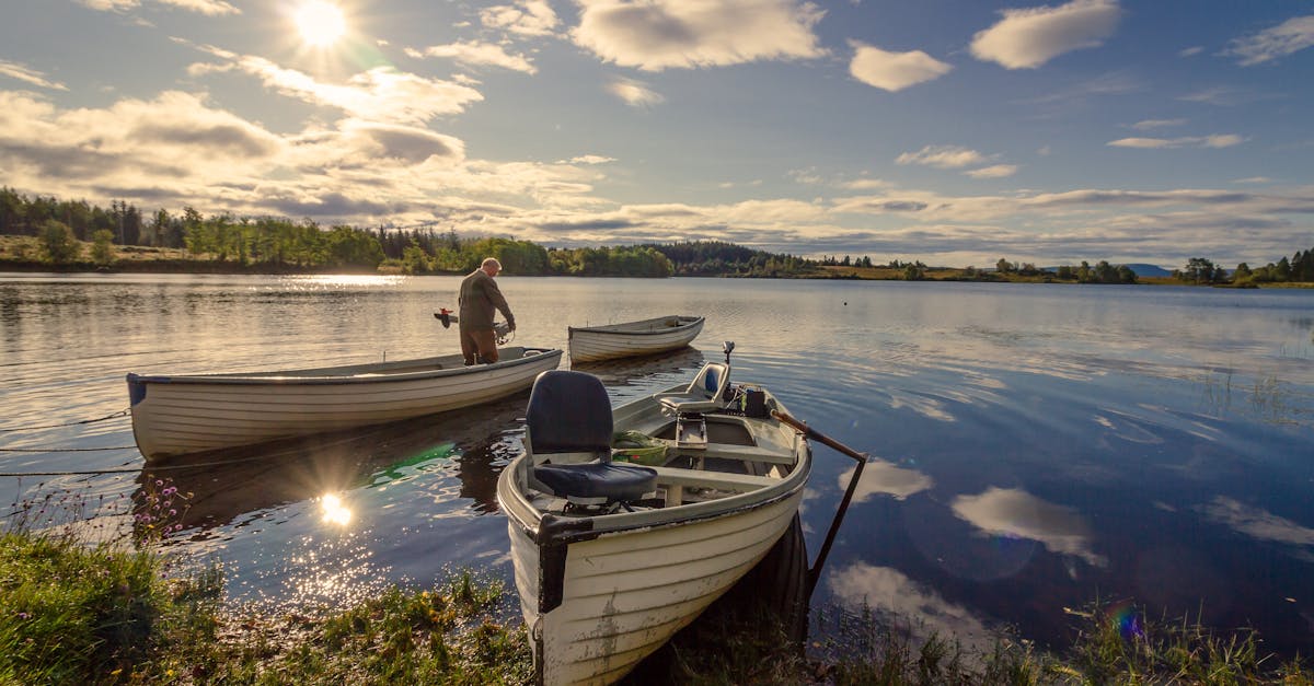 découvrez l'écosse, un pays riche en histoire, paysages à couper le souffle et traditions authentiques. explorez ses châteaux majestueux, ses lochs mystérieux et savourez la gastronomie locale tout en vous immergeant dans la culture écossaise.