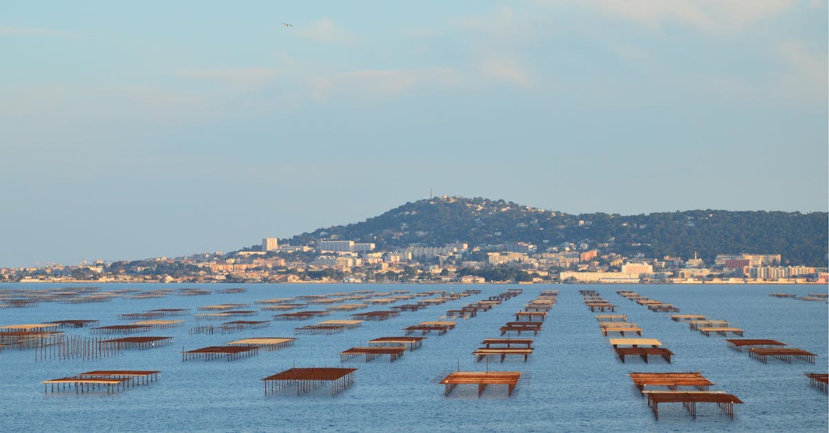 découvrez sète, la perle du languedoc-roussillon, célèbre pour ses canaux pittoresques, ses plages ensoleillées et sa riche culture maritime. plongez dans l'authenticité de cette ville méditerranéenne où gastronomie, art et traditions se rencontrent pour offrir une expérience inoubliable.
