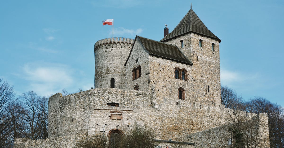 découvrez silesia, une région riche en histoire et en culture, où la beauté naturelle rencontre un patrimoine industriel fascinant. explorez ses paysages pittoresques, ses villes dynamiques et ses traditions uniques.