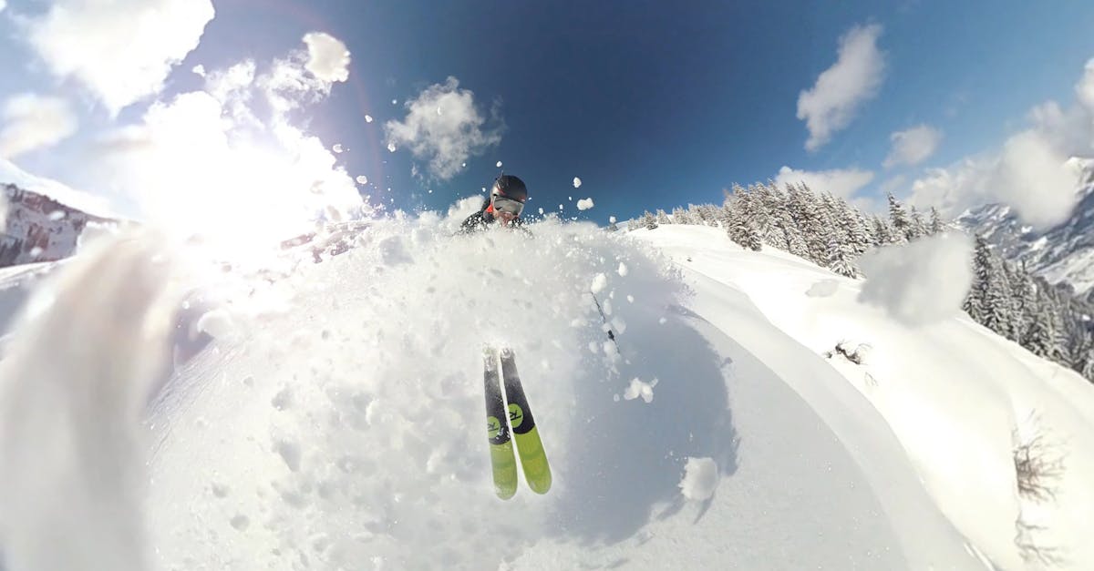 découvrez l'univers du ski : pistes enneigées, domaines skiables variés et conseils pour tous les niveaux. vivez des sensations fortes et des moments inoubliables en pleine nature.