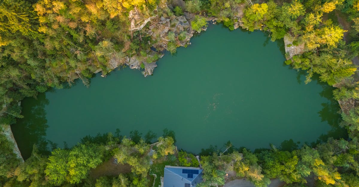découvrez slavonski brod-posavina, une région riche en histoire et en culture, où la beauté naturelle rencontre un patrimoine fascinant. explorez ses paysages pittoresques, ses traditions vivantes et sa gastronomie locale.