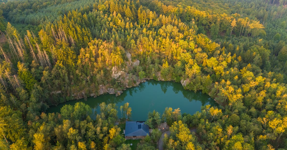 découvrez slavonski brod dans la région de posavina, un joyau de la croatie riche en histoire, culture et beauté naturelle. explorez ses attractions uniques, sa gastronomie savoureuse et profitez d'activités en plein air tout en vous imprégnant de l'hospitalité croate.