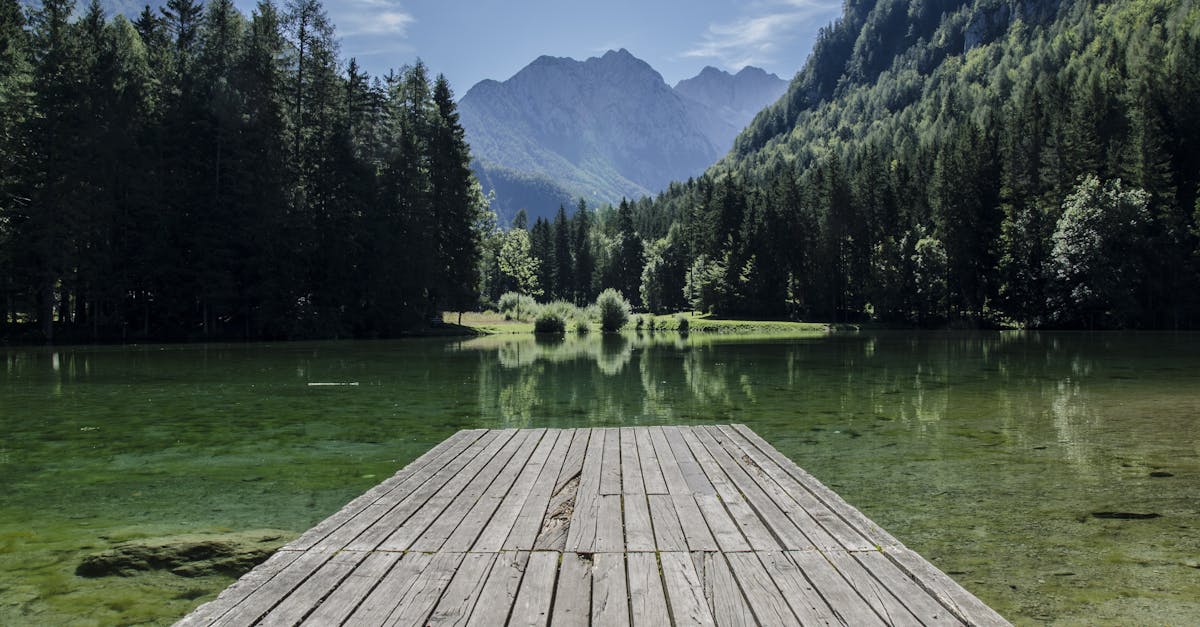 découvrez la slovénie, un joyau caché en europe, offrant des paysages à couper le souffle, des lacs cristallins et des montagnes majestueuses. explorez ses charmantes villes, sa riche culture et sa délicieuse gastronomie.