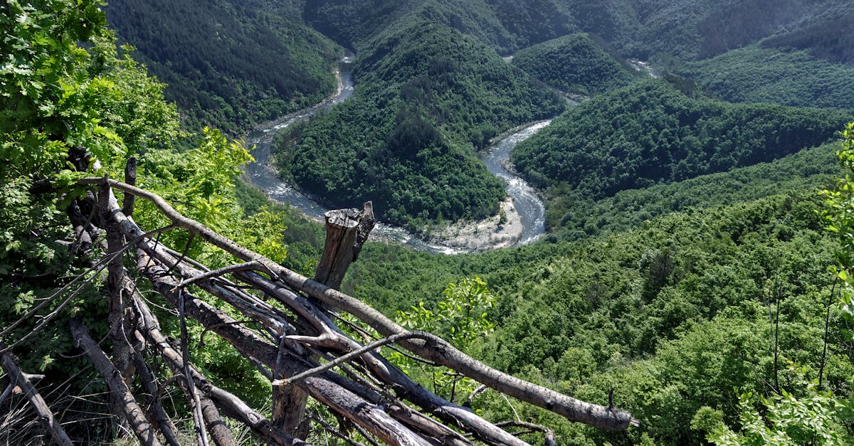 découvrez smolyan, une charmante ville bulgare nichée dans les montagnes rhodope, célèbre pour ses paysages à couper le souffle, ses traditions culturelles riches et ses nombreuses activités de plein air. parfait pour un séjour de détente ou d'aventure.