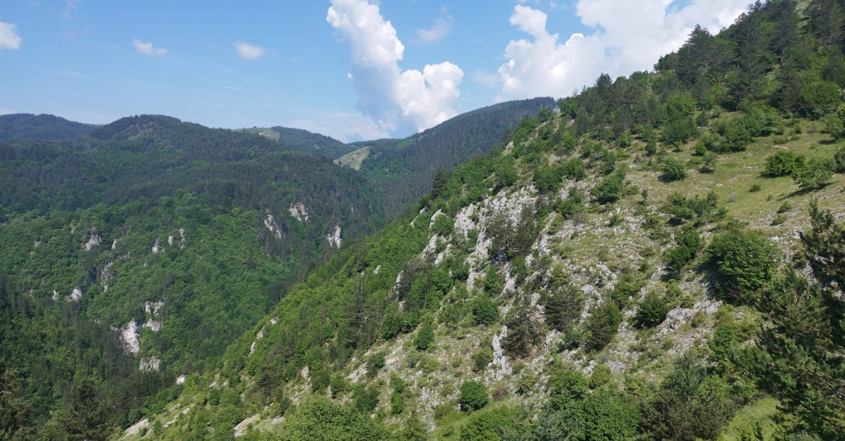 découvrez smolyan, une charmante ville bulgare nichée au cœur des montagnes rhodopes. profitez de paysages à couper le souffle, d'une riche culture locale et d'activités de plein air tout au long de l'année. idéal pour les amateurs de nature et d'aventure.