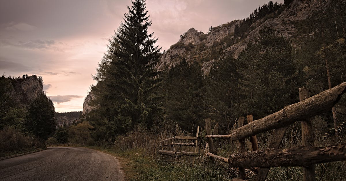 découvrez smolyan, une charmante ville bulgare entourée de montagnes majestueuses, offrant des paysages à couper le souffle, une riche histoire culturelle et de nombreuses activités de plein air pour les amoureux de la nature.