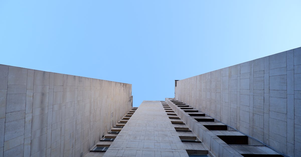 découvrez sofia, une ville dynamique alliant histoire et modernité. explorez ses monuments emblématiques, sa culture vibrante et sa gastronomie savoureuse pour une expérience inoubliable.