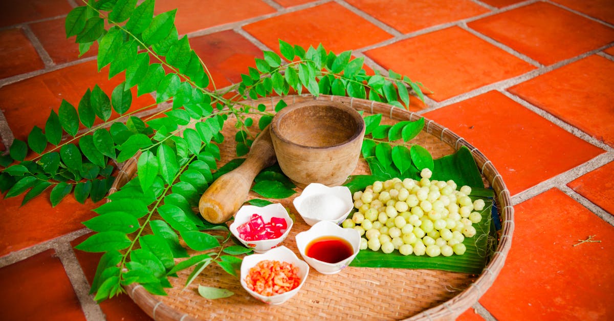 découvrez les merveilles de l'asie du sud-est, une région riche en culture, histoire et paysages époustouflants. explorez ses destinations emblématiques, sa gastronomie exquise et ses traditions vibrantes.