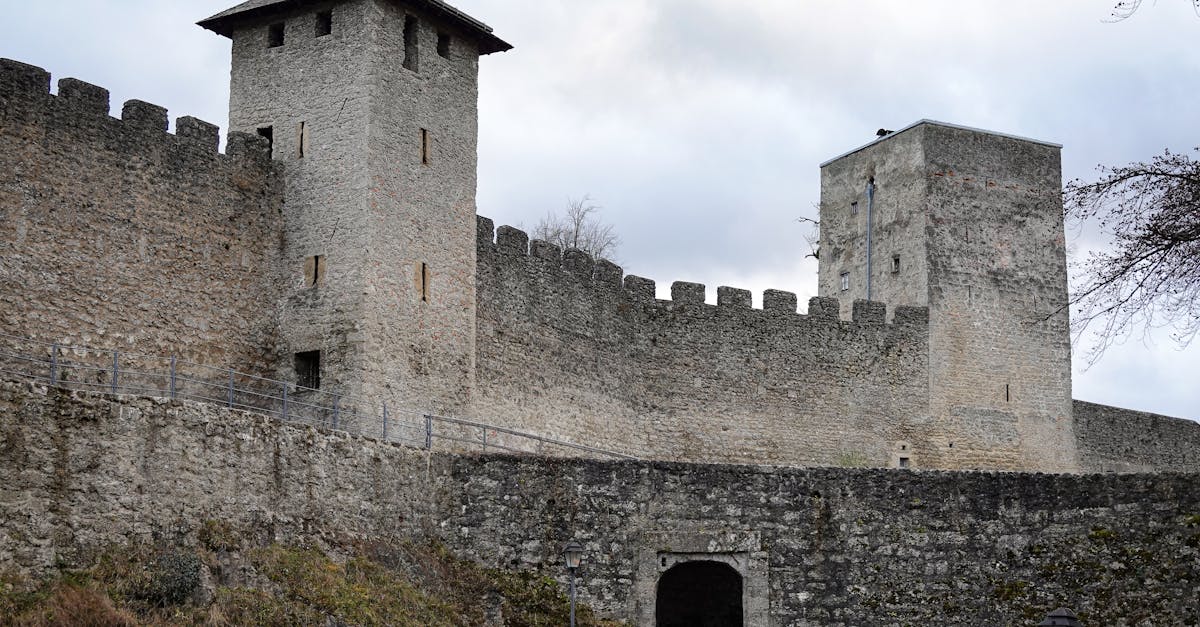 découvrez st. gallen, une ville suisse alliant patrimoine historique et nature préservée. explorez ses célèbres broderies, visitez la magnifique bibliothèque abbaye classée au patrimoine mondial de l'unesco et profitez des paysages alpins environnants.