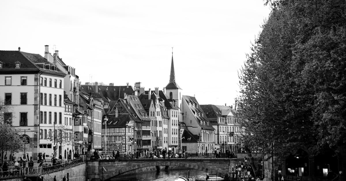 découvrez strasbourg, une ville au patrimoine riche alliant histoire, culture et modernité. explorez ses célèbres institutions européennes, flânez dans ses charmantes ruelles médiévales et savourez une gastronomie unique.