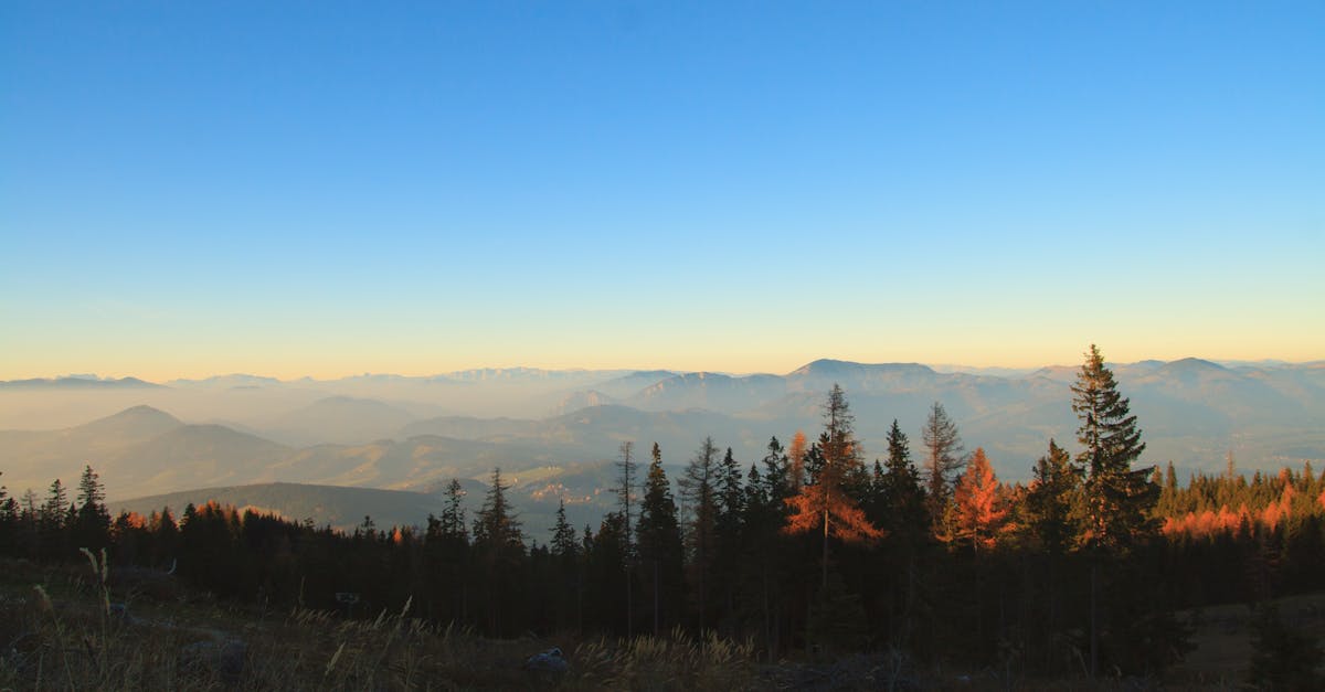 découvrez styria, une région pittoresque d'autriche, riche en paysages époustouflants, culture vibrante et traditions authentiques. explorez ses charmants villages, ses montagnes majestueuses et sa délicieuse gastronomie, pour une expérience inoubliable au cœur de l'europe.