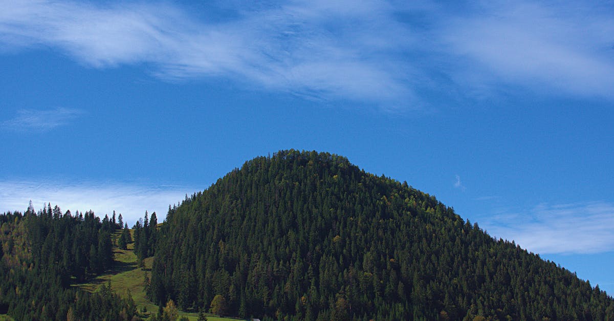 découvrez suceava, une ville historique de roumanie riche en culture et en patrimoine. explorez ses châteaux, ses églises et ses paysages pittoresques, tout en profitant de la gastronomie locale.