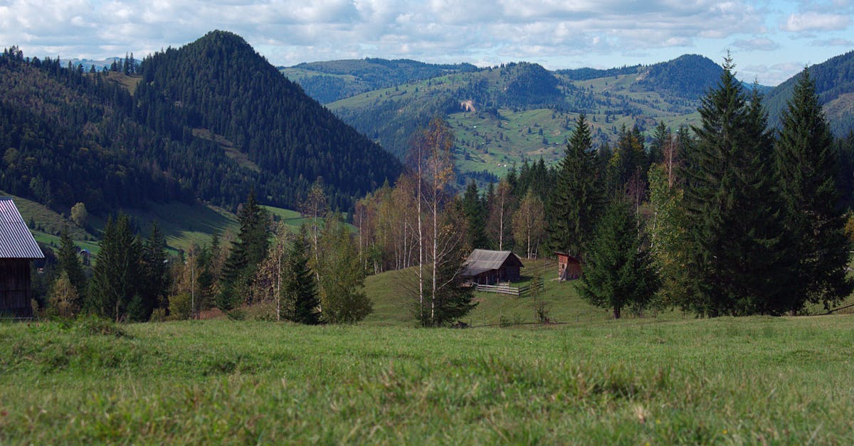 découvrez suceava, une ville historique de roumanie, riche en culture et en patrimoine. explorez ses châteaux médiévaux, ses paysages pittoresques et son ambiance accueillante. parfait pour les amateurs d'histoire et de nature.