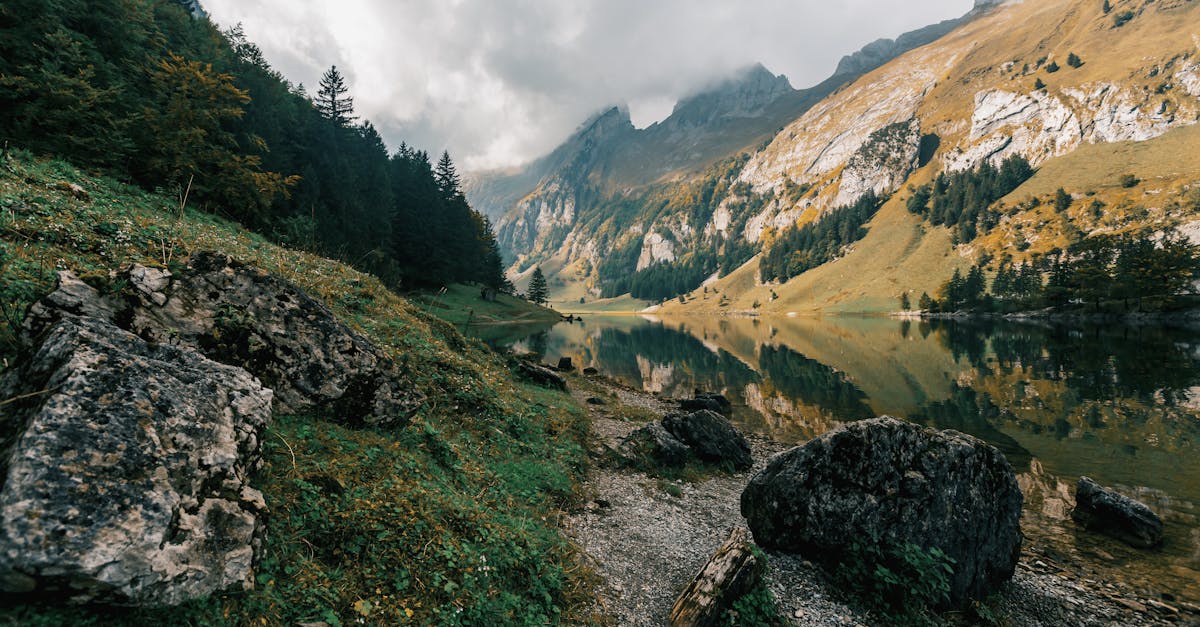 découvrez la suisse, un pays aux paysages époustouflants, riche en culture et en traditions. explorez ses montagnes majestueuses, ses lacs cristallins et ses charmantes villes, tout en profitant d'une cuisine délicieuse et d'une hospitalité chaleureuse.
