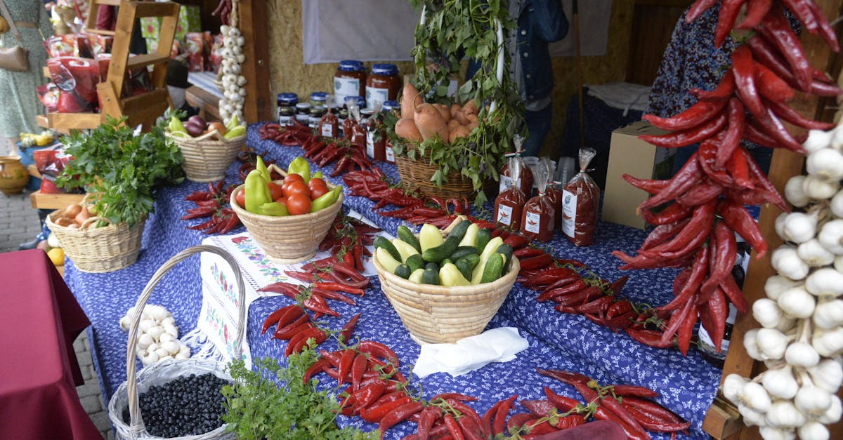 découvrez szabolcs-szatmár-bereg, une région pittoresque de la hongrie, riche en culture, histoire et paysages naturels. explorez ses charmants villages, ses festivals vibrants et sa délicieuse gastronomie, tout en profitant d'activités de plein air dans cette destination unique.