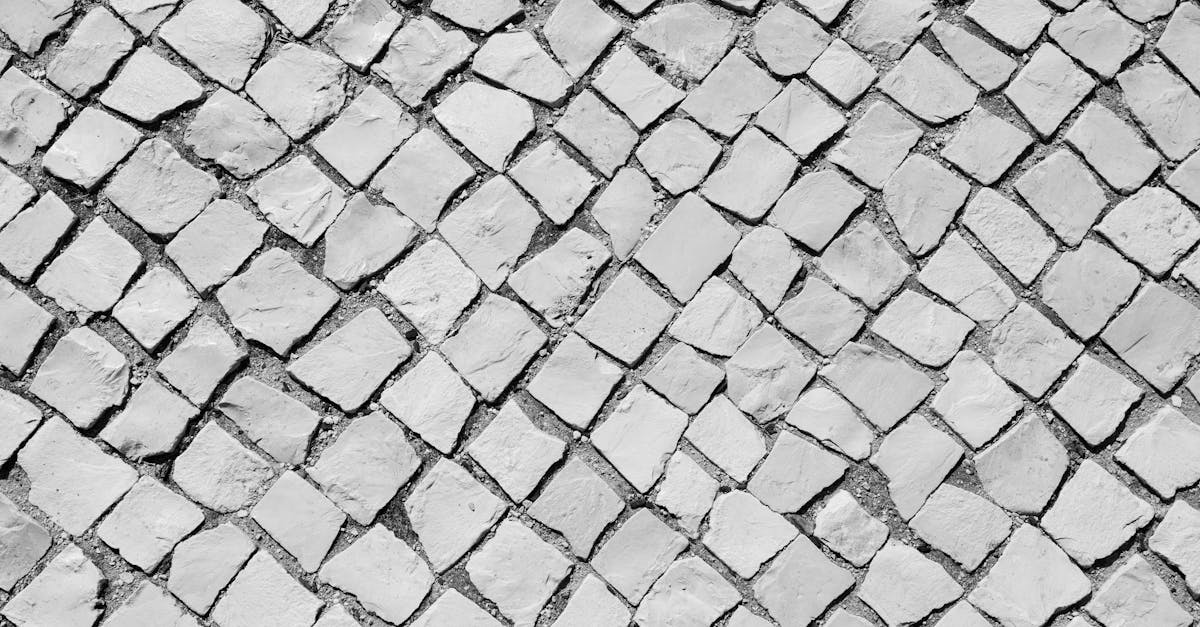 découvrez l'art fascinant de la tessellation, où des formes s'assemblent harmonieusement pour créer des motifs enchanteurs. explorez les techniques, les applications et l'histoire de cette pratique géométrique qui allie créativité et mathématiques.