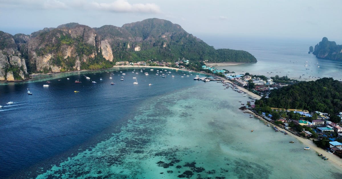 découvrez tout ce que vous devez savoir pour planifier votre voyage en thaïlande. de bangkok aux plages paradisiaques, en passant par la cuisine délicieuse et la culture fascinante, notre guide complet vous aidera à explorer ce pays enchanteur et à vivre des expériences inoubliables.