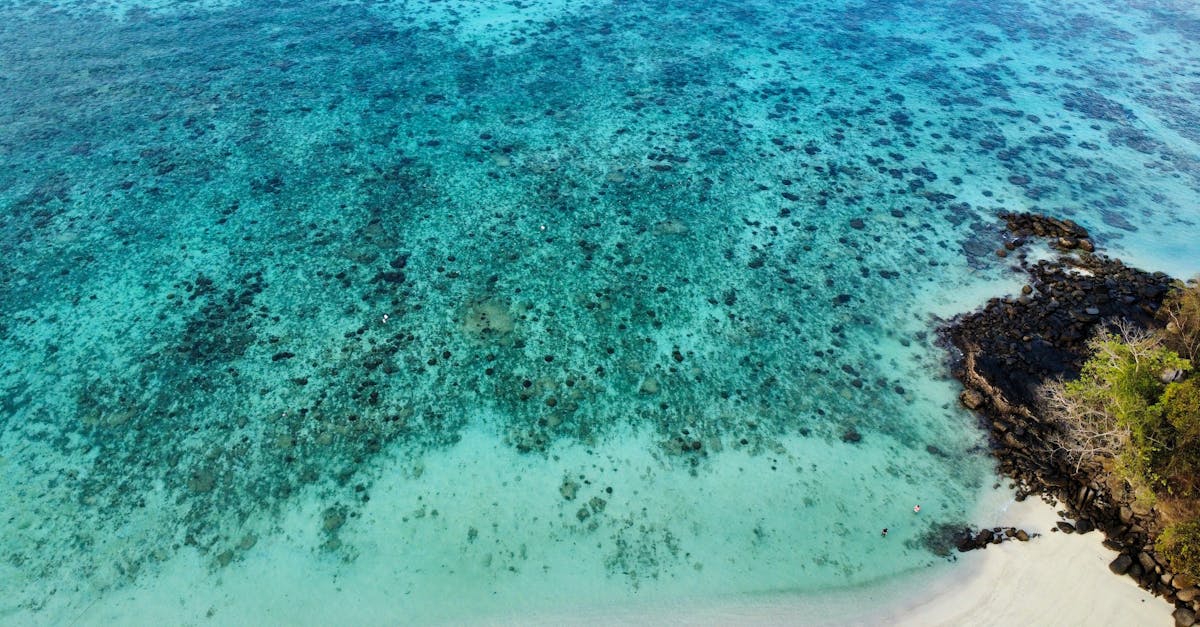 découvrez la thaïlande comme jamais auparavant avec notre guide de voyage complet. explorez les plages paradisiaques, les temples majestueux et la délicieuse cuisine locale. que vous soyez en quête d'aventure ou de détente, trouvez des conseils pratiques, des itinéraires et des astuces pour profiter au mieux de votre séjour en thaïlande.