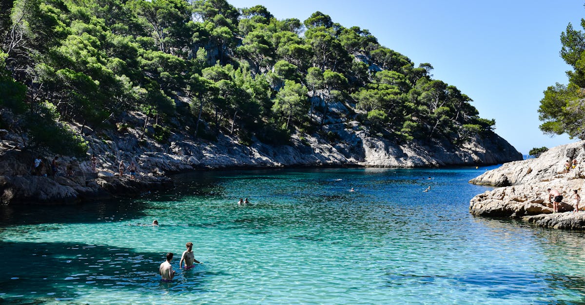 découvrez toulon, une magnifique ville portuaire du sud de la france. profitez de ses plages ensoleillées, de son riche patrimoine historique et de sa délicieuse gastronomie locale. explorez les marchés animés et les environs méditerranéens pour une expérience inoubliable.