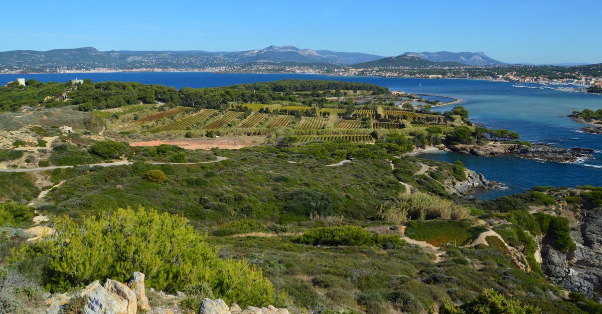 découvrez toulon, une ville côtière charmante du sud de la france, célèbre pour son port militaire, ses plages ensoleillées et sa riche histoire. profitez des balades sur le front de mer, explorez le quartier pittoresque du mourillon et savourez la cuisine locale dans ses nombreux restaurants.