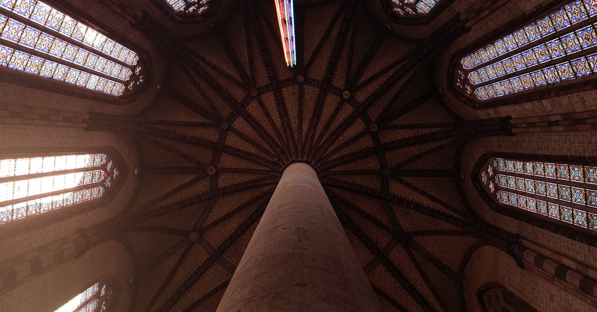 découvrez toulouse, la 'ville rose', célèbre pour son architecture en briques roses, sa riche histoire et sa culture vibrante. explorez ses quartiers animés, ses musées fascinants et savourez la délicieuse gastronomie du sud de la france.