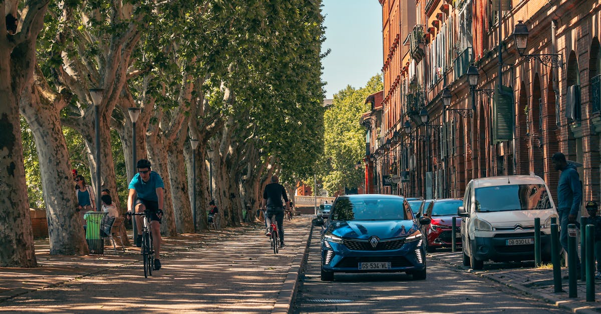 découvrez toulouse, la ville rose, connue pour sa richesse culturelle, son histoire fascinante et sa gastronomie savoureuse. explorez ses hautes places, visitez la célèbre cité de l'espace, et laissez-vous séduire par ses ruelles charmantes et son ambiance conviviale.