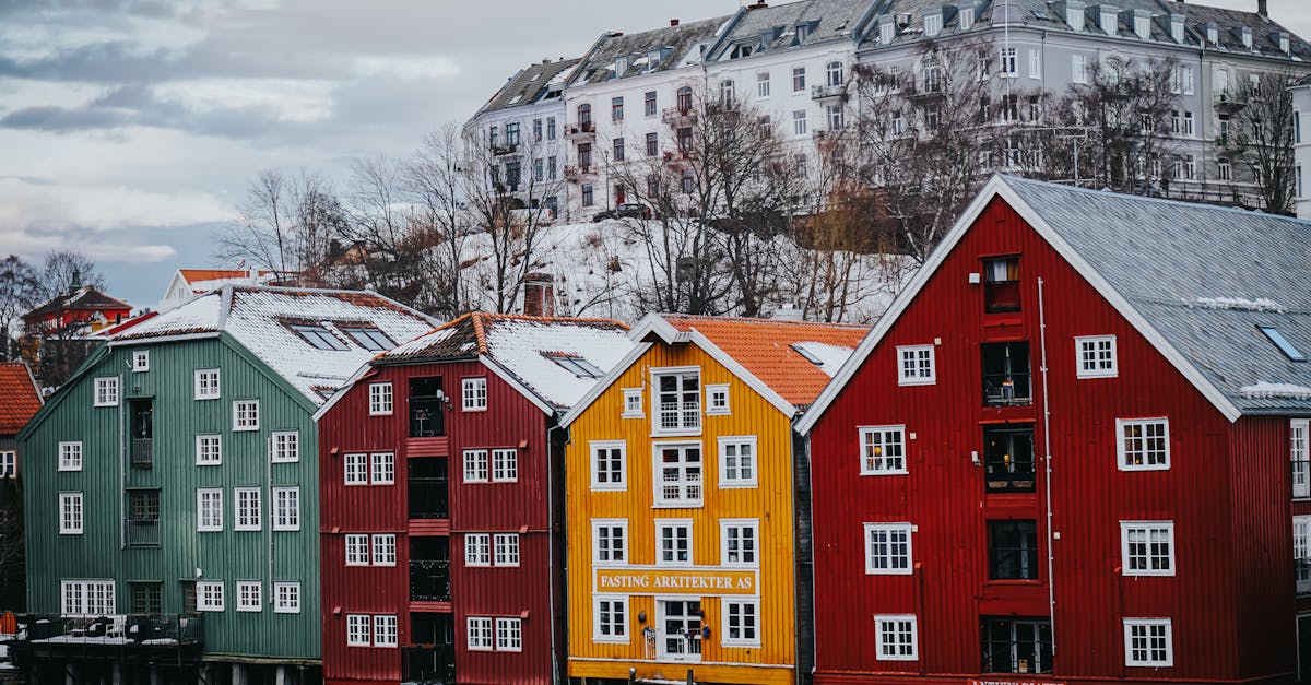 découvrez trøndelag, une région norvégienne riche en paysages spectaculaires, traditions culturelles et activités de plein air. explorez ses fjords majestueux, ses charmants villages et savourez la gastronomie locale. que vous soyez amateur de randonnée, de pêche ou de découvertes historiques, trøndelag vous offre une expérience inoubliable au cœur de la nature.