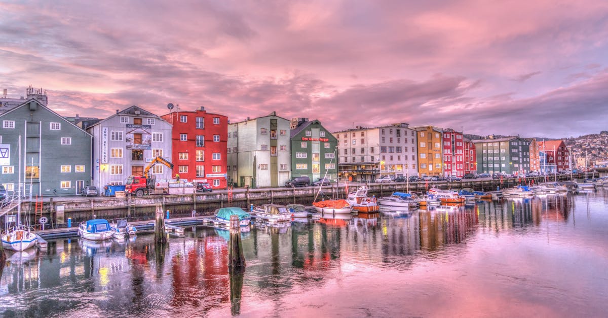 découvrez trøndelag, une région captivante de norvège où nature et culture s'entremêlent. explorez des fjords majestueux, des montagnes impressionnantes et une riche histoire viking. parfait pour les amateurs d'aventure et de paysages extraordinaires.
