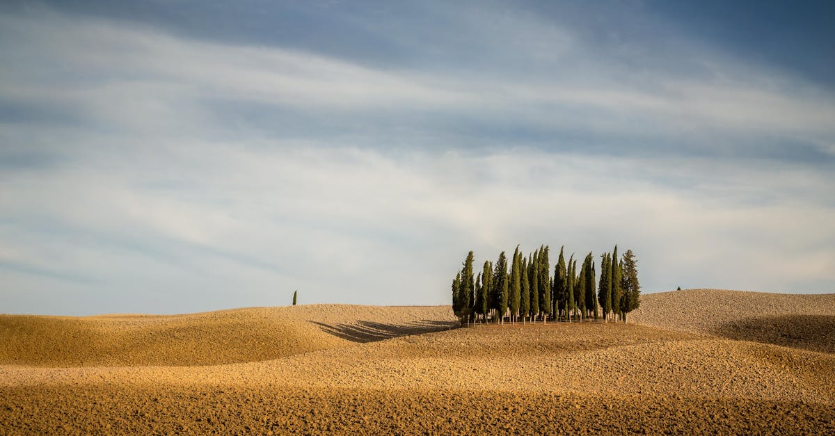 découvrez la beauté envoûtante de la toscane, une région italienne réputée pour ses paysages pittoresques, ses collines verdoyantes, ses vignobles prestigieux et son riche patrimoine historique. explorez les charmantes villes comme florence et sienne, tout en savourant la délicieuse cuisine locale et les vins raffinés. plongez dans une expérience inoubliable au cœur de l'art et de la culture.