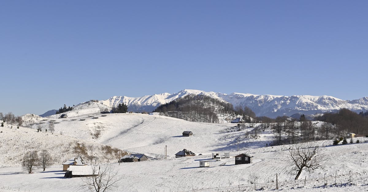 découvrez vâlcea, une région riche en histoire et en culture, offrant des paysages époustouflants et une gastronomie authentique. explorez ses magnifiques monastères, ses stations thermales réputées et profitez des nombreuses activités en plein air dans ce coin pittoresque de la roumanie.