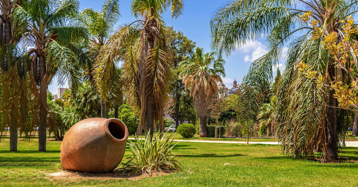 découvrez valencia, une ville vibrante d'espagne mêlant histoire, culture et gastronomie. explorez ses magnifiques plages, ses monuments emblématiques et goûtez à la célèbre paella dans un cadre ensoleillé. parfait pour une escapade inoubliable !