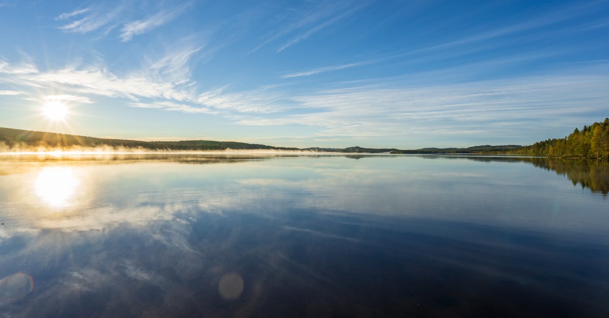 découvrez värmland, une région suédoise riche en nature sauvage, en lacs scintillants et en forêts verdoyantes. explorez ses charmants villages, sa culture unique et ses activités en plein air, pour une expérience inoubliable au cœur de la suède.