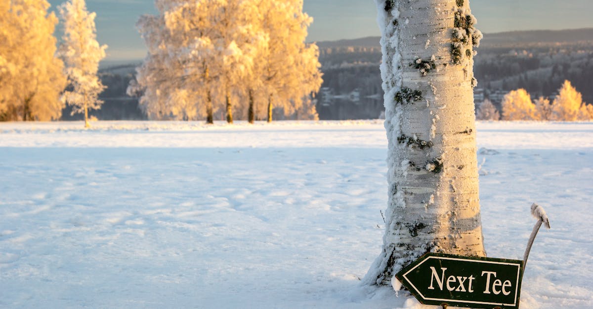découvrez värmland, une région pittoresque de la suède, célèbre pour ses paysages enchanteurs, ses forêts denses et ses lacs majestueux. plongez dans l'histoire et la culture locale, tout en profitant d'activités de plein air uniques, telles que la randonnée, le kayak et l'observation de la faune.