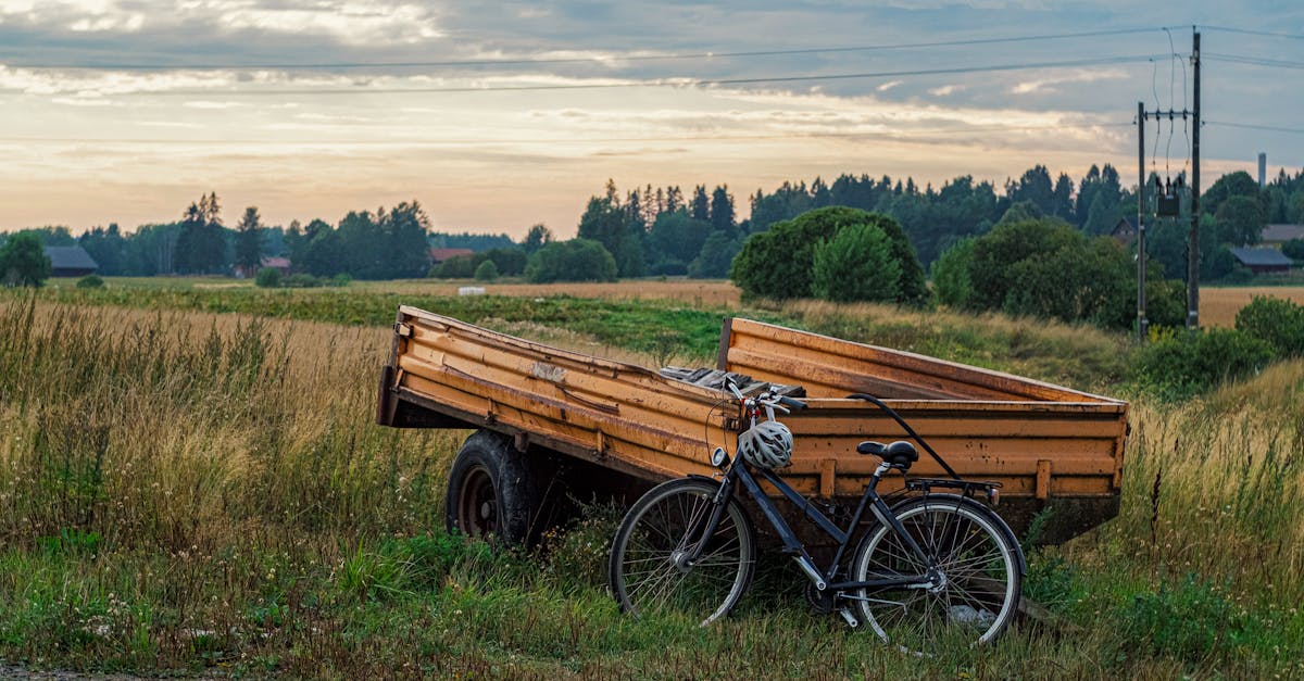 découvrez varsinais-suomi, une région pittoresque de finlande riche en culture, nature et activités de plein air. explorez ses paysages variés, ses charmantes villes et son patrimoine historique unique.